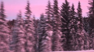 Video Detailed Statement - Recorded Music, NYU.