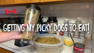 Turning Kibble into Wet Food (for picky dogs)