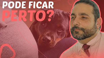 Faz mal o cachorro dormir com o dono?
