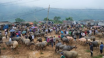 Mộc mạc chợ phiên tây bắc bán toàn đặc sản tây bắc | vùng núi tây bắc | miền núi tây bắc