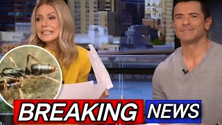 Live’ Kelly Ripa Blasts Crew Member Rude Action To Audience Member