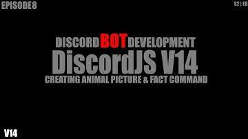 DiscordJS V14 | Creating animal Fact & Picture command