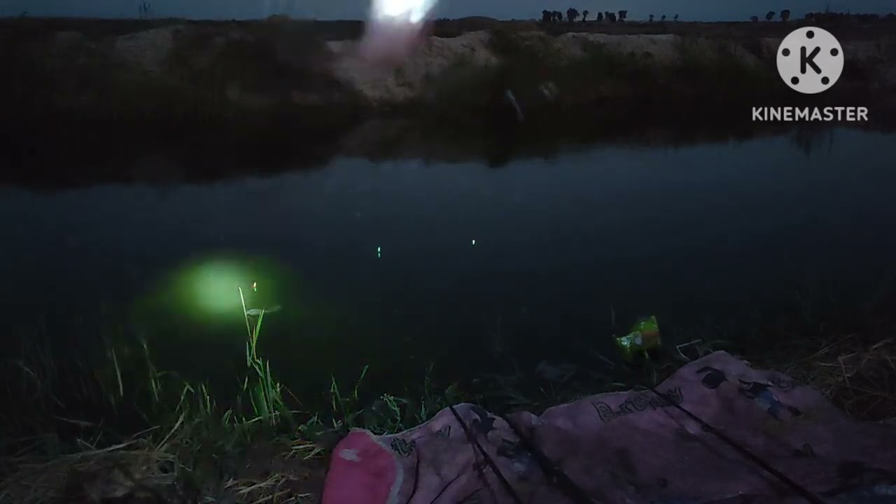 احسن مكان فى فاطمه النبويه وشغال غله وطعم وجمبرى #fishing #amazing #fish #shortvideo #2023 #سمك