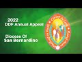 2022 DDF Annual Appeal
