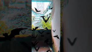 Bhoot Bangla#hunted#hontedhouse #creepy #creepystories#dark#horror #horrorshorts#viralvideo#shorts
