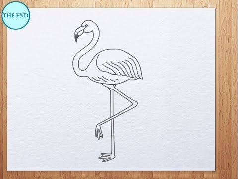 Flamingo Outline Images  Browse 7134 Stock Photos Vectors and Video   Adobe Stock