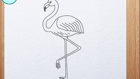 How to draw flamingo