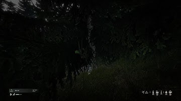 DayZ PS5 Official Server Double Kill