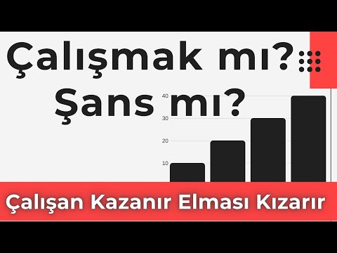 Çalışan Kazanır Elması Kızarır Çalışmak mı? Şans mı? Ortak Payda