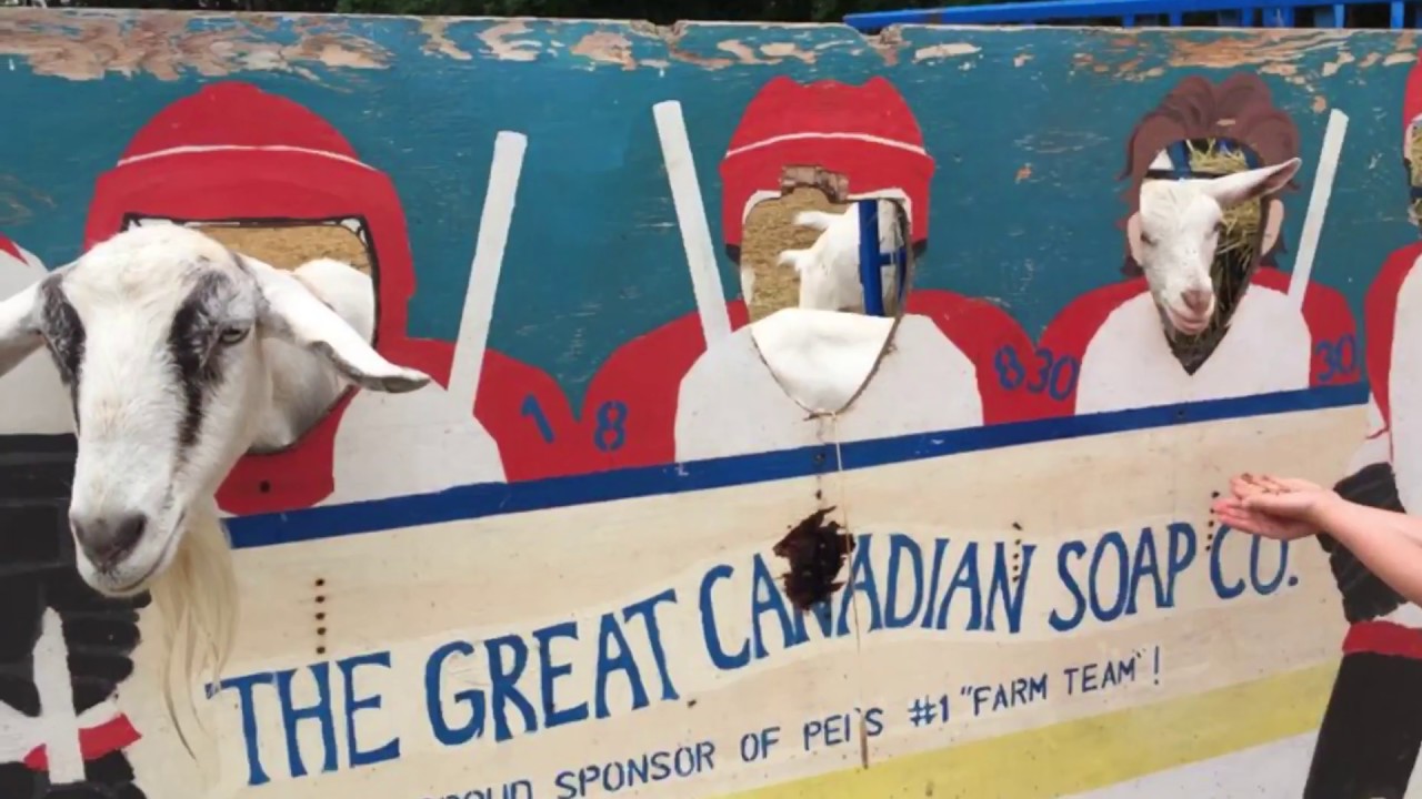 The Great Canadian Soap Company YouTube