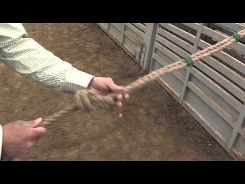 Wie man Bull einen Bull Seil Knoten Fahrt-Bindung
