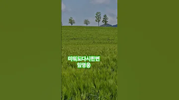 미워도다시한번 임영웅 인생힐링 고창청보리밭 