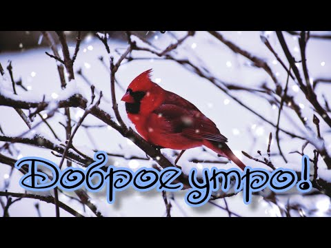 ❄❄❄ДОБРОЕ УТРО! ХОРОШЕГО ДНЯ!❄❄❄