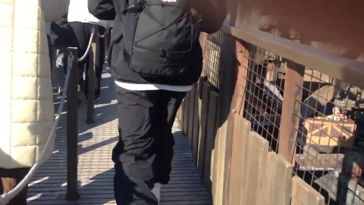 ビッグサンダーマウンテン　プライオリティパスQライン