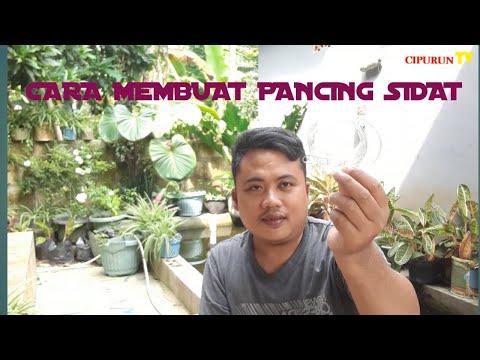 Video: Cara Membuat Pancing