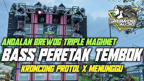 DJ KRONCONG PROTOL X MENUNGGU | BASS NGANTEM | STYLE KARNAVAL TERBARU