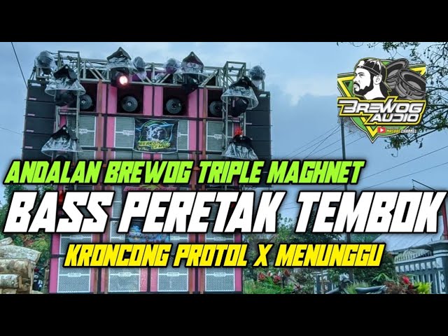 DJ KRONCONG PROTOL X MENUNGGU | BASS NGANTEM | STYLE KARNAVAL TERBARU class=