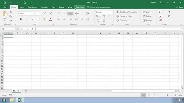 Excel VBA Macros: Hyper-disambiguated Excel VBA Programming : 3. The Developer Tab
