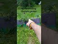 #maine #gardening #homestead #shorts #subscribemychannel #fullvidioplaylist