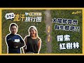 顛覆大美督固有形象 獨木舟深入紅樹林 親踏地質公園近距離認識火成岩｜#852流汗旅行團大埔生態篇 feat. 海洋新幹線 | Ocean Explorer｜Sportsoho