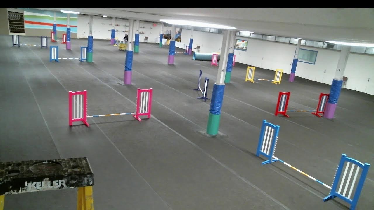TCOTC Agility Trial Feb/March 2026