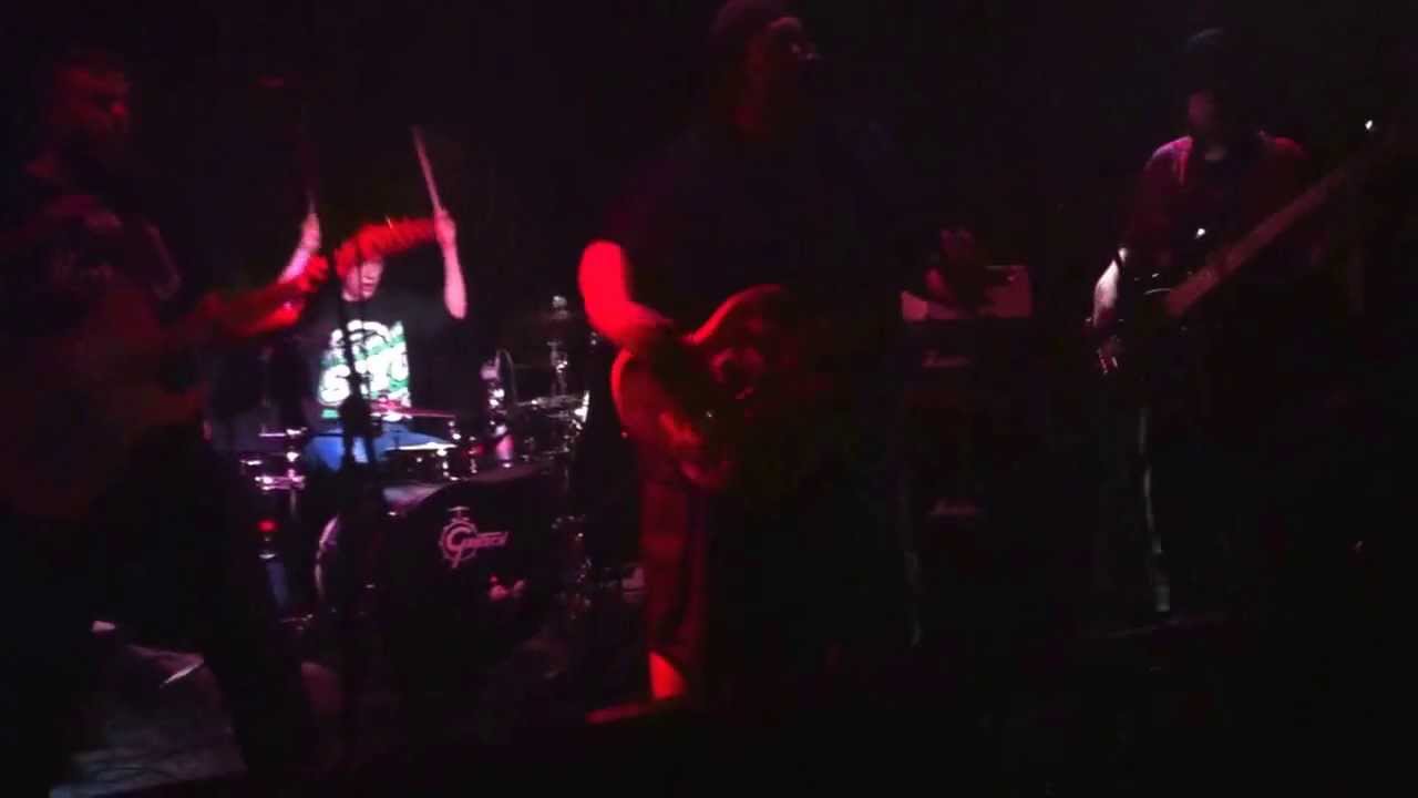 Northern Nightlights 1