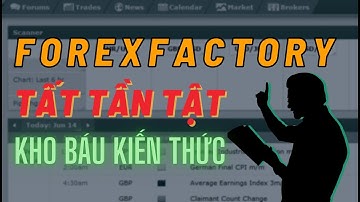 ✅ Hướng Dẫn Tất Tần Tật Về FOREXFACTORY - Kho Báu Kiến Thức Quý Giá Cho Trader | TraderViet