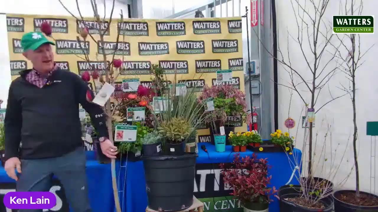 62nd Spring Open House and New Plant Introductions YouTube