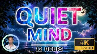 Quiet Mind | A Deep Sleep Soundscape for an Overstimulated Brain | Anxiety Relief | 12 Hours