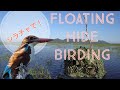 Birding from floating hide #birding#floatinghide#sriracha#シラチャ#野鳥