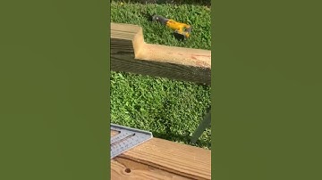 “Warped” and “Twisted”…time to hack away…#shorts