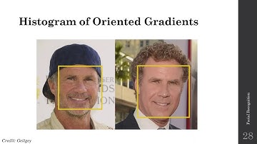 Facial Recognition 01