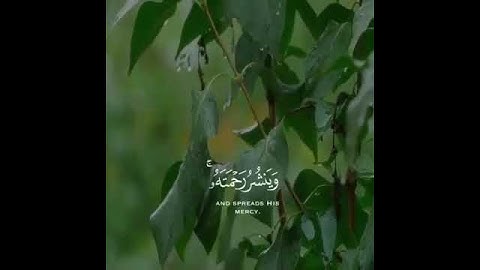 وهو الذي ينزل الغيث من بعد ما قنطوا  سورة الشورى الايه 28(480P)