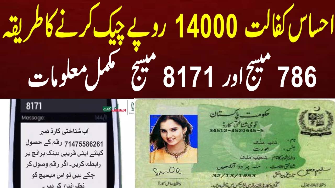 how-to-check-cnic-information-in-bisp-14000-l-bisp-ehsaas-14000-online