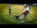 Karate 4 Dogs Session in Reading