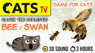 GAME FOR CATS  Flying BEES & WASPS   [CATS TV] 3 hours with bird sounds