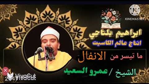 الشيخ عمرو السعيد ماتيسر من سوره الانفال