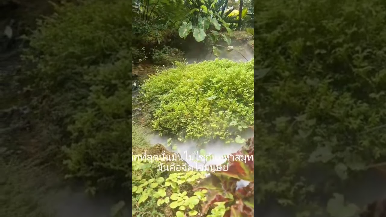 #reels #สตอรี่ชีวิต #คำคม