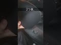 こうすれば生き残ることができます2