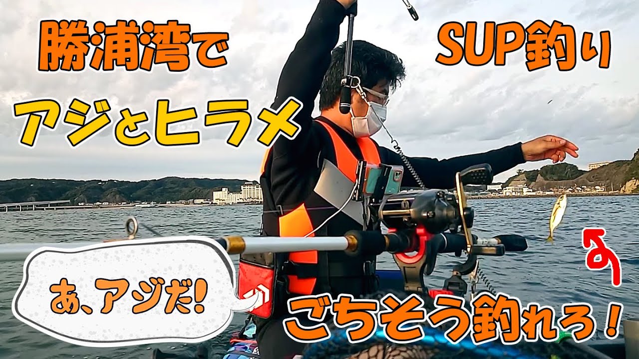 勝浦湾でSUP釣り。アジとヒラメ、ごちそう釣れろ！withこちしばの人。