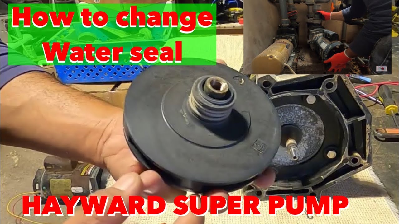 HOW TO CHANGE WATER SEAL ON A HAYWARD SUPER PUMP/PAANO MAGPALIT NG ...