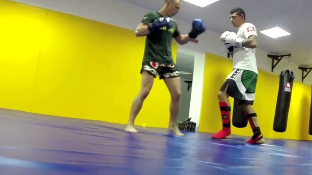 ���� ���� �������� �����: ����.