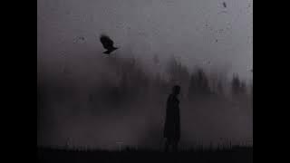 narvent - fainted[ slowed   reverb ] version