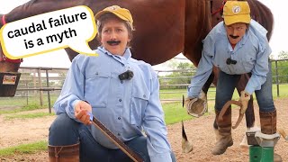 Farriers be like 🤠 | Funny Horse Videos