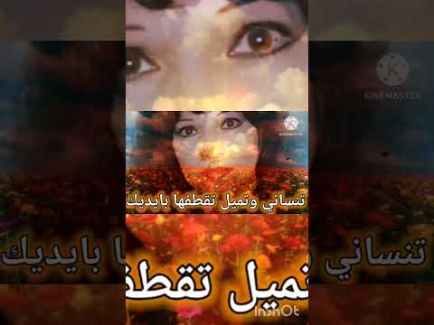 خلاص مسافر شادية ج٦