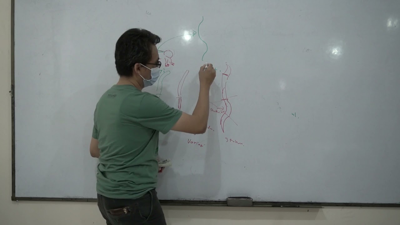 Kuliah FUNDAMENTAL AND APPLIED ANATOMY OF THE SPINE