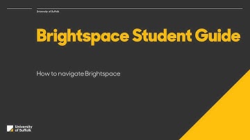Welcome to Brightspace subtitled