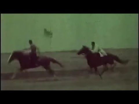 \"მთვარის მოტაცება\" - დოღი (mtvaris motaceba)