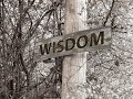 What is wisdom philosophy and psychology of wisdom  part 1