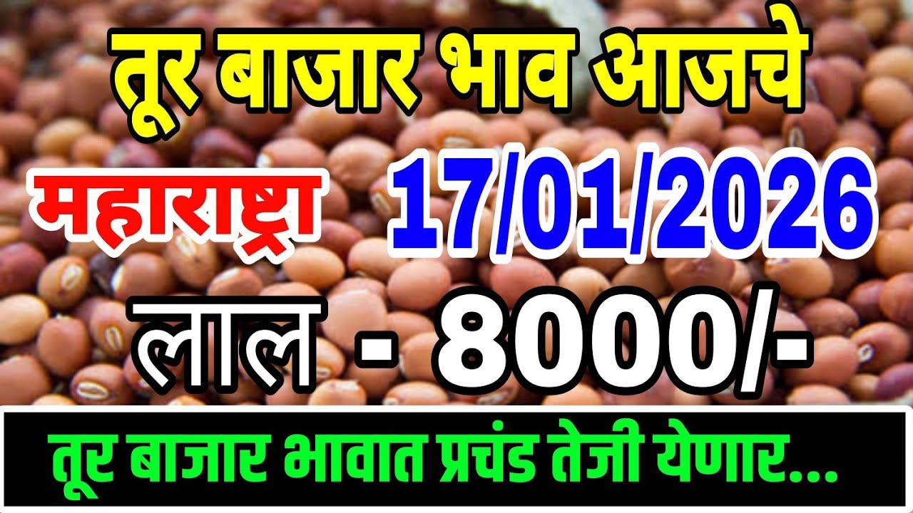 तूर बाजार भाव वाढले 17 जानेवारी 2026 / Tur bhazar bhav today / महाराष्ट्रा तूर भाव असे...तेजी येणार